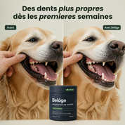 Poudre Dentaire Senior